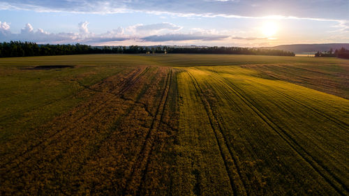 Scenic view of agricultural field against sky during sunset