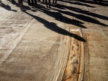 Low section of people walking at street