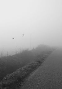 Road in foggy weather