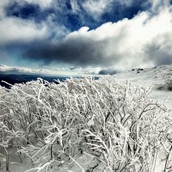 Scenic view of snowcapped mountains against sky