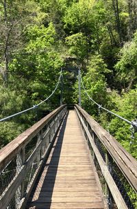 View of footbridge against trees in forest