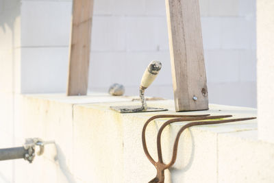 Close-up of bird perching on metal against wall