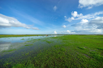 Scenic view of beach against sky