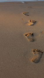 High angle view of footprints on beach