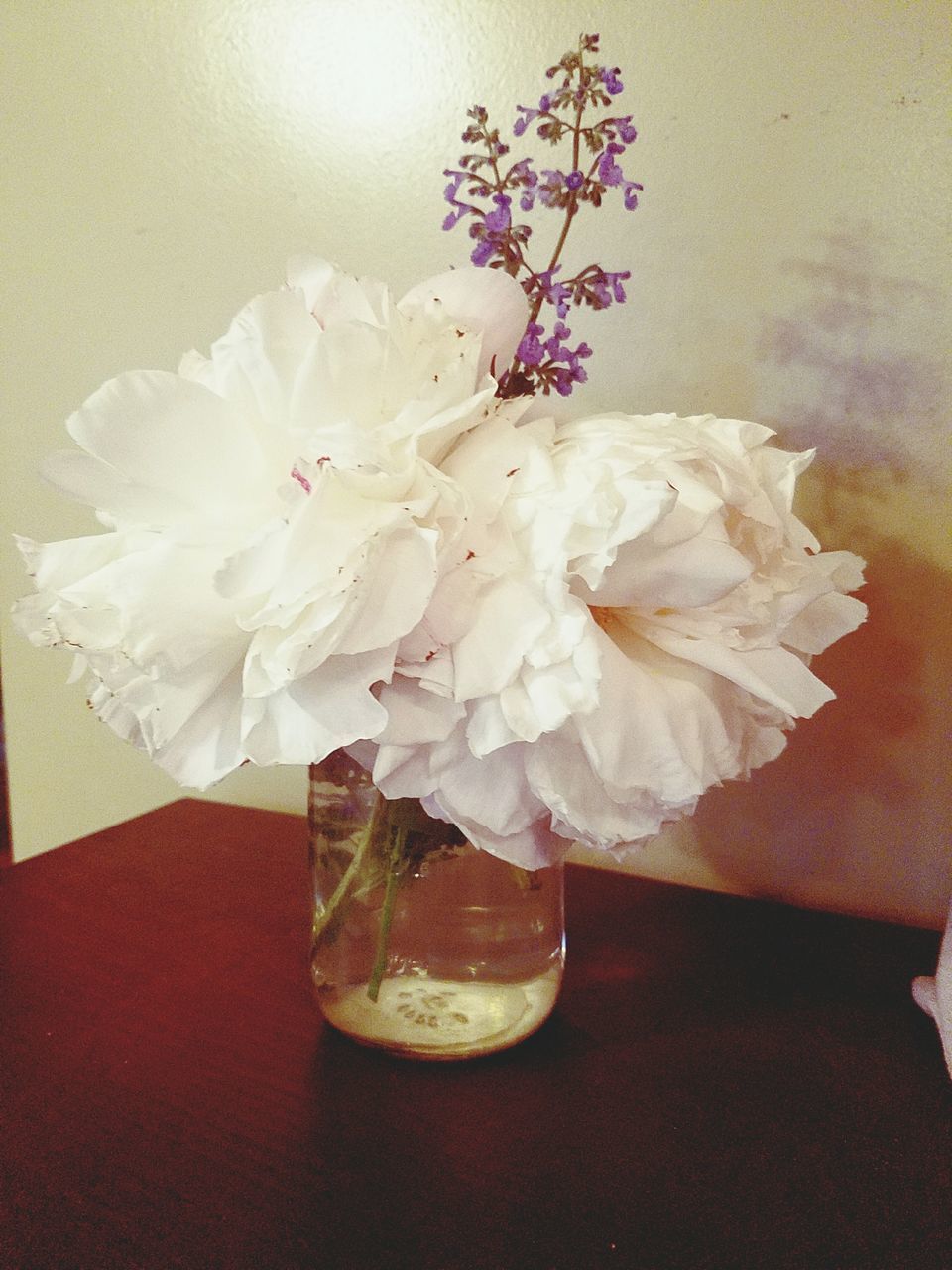 CLOSE-UP OF FLOWER AND TABLE