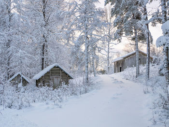 Old croft in the forest in winter time