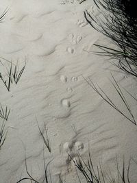 High angle view of footprints on sand at beach