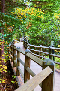 Wooden footbridge in park