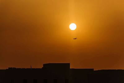 Silhouette bird flying against orange sky