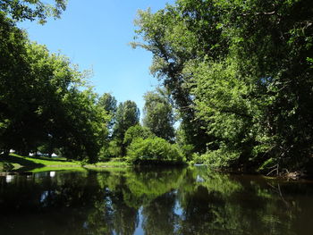 Scenic view of lake in forest against sky