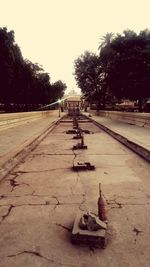 Empty road along plants in city