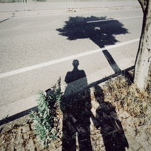 Shadow of person on tree trunk