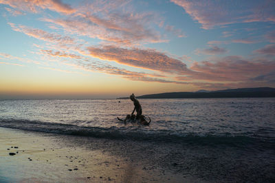 Silhouette person on beach against sky during sunset