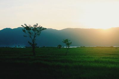 Scenic view of landscape against sky during sunset