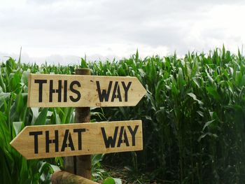 Close-up of wooden signboard by field against sky