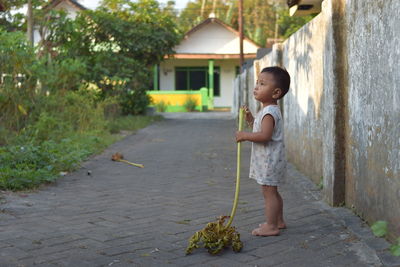 Full length of boy holding leaf while standing on land