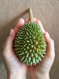 Cropped image of person holding apple