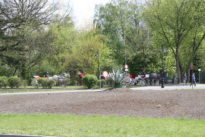 People in park