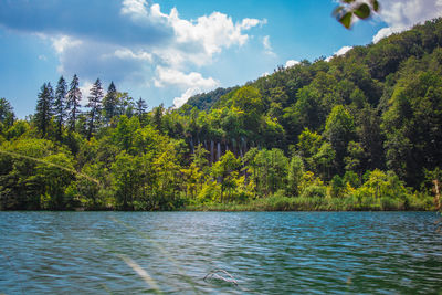 Scenic view of lake by trees against sky