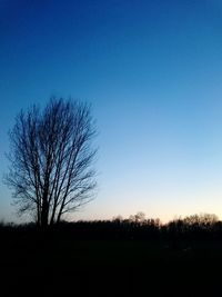 Bare trees on landscape against clear sky at dusk