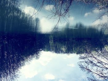 Scenic view of lake in forest during winter