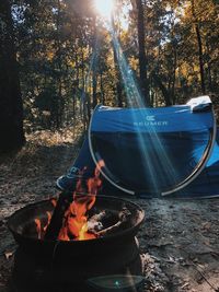 High angle view of fire in the forest