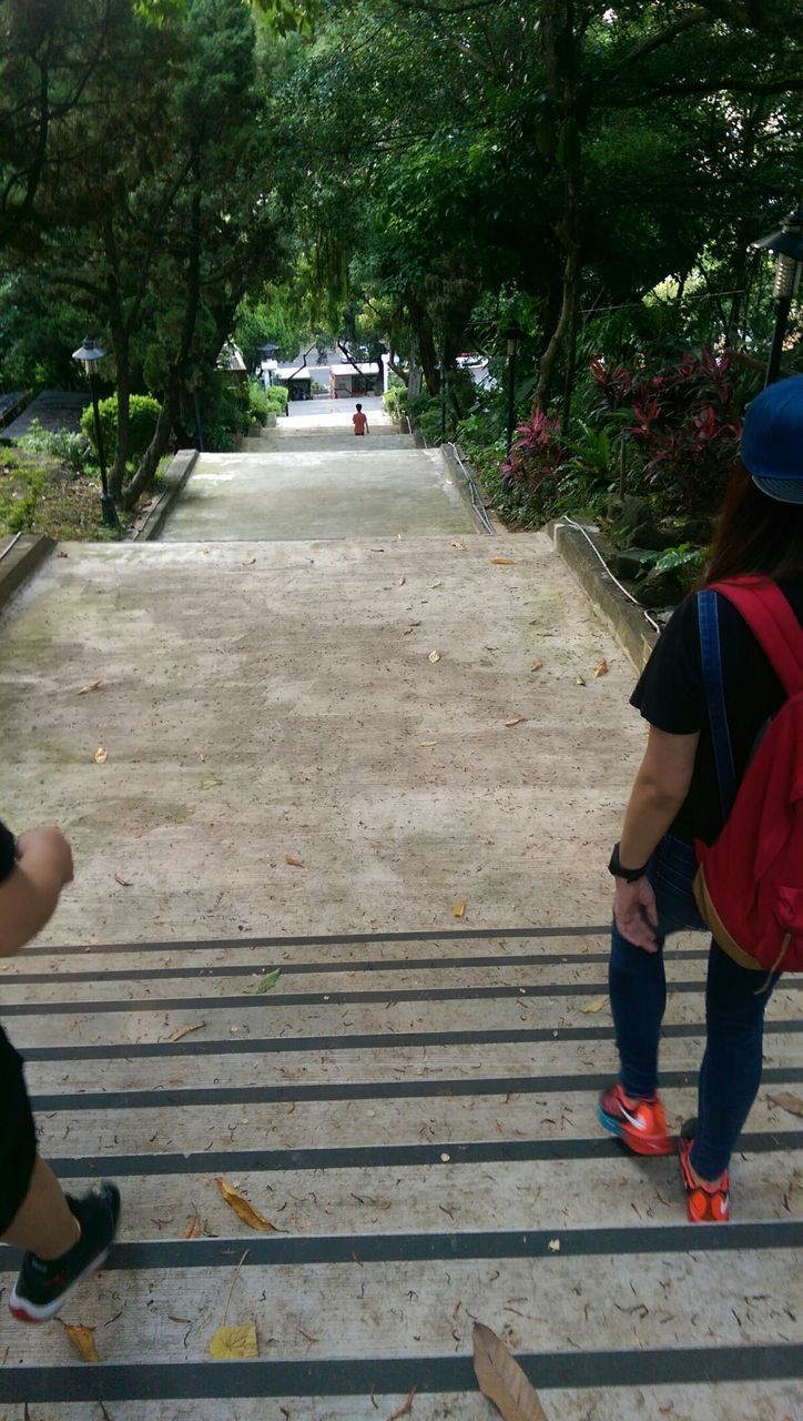 tree, lifestyles, leisure activity, men, walking, the way forward, person, rear view, casual clothing, full length, day, outdoors, footpath, wood - material, steps, standing, low section