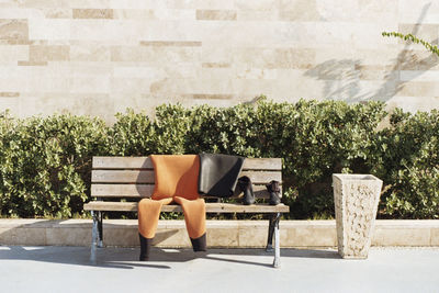 Clothes on bench against plant