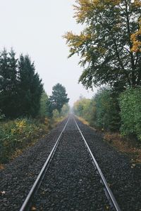 Railroad track amidst trees against sky