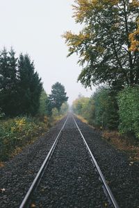 Railroad track amidst trees