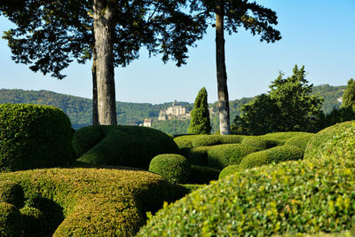 Scenic view of garden against sky