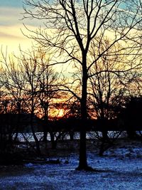 Bare trees against sky at sunset