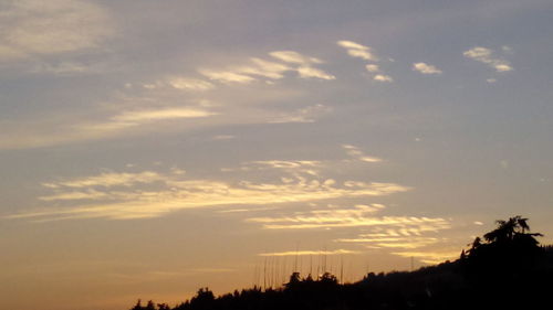 Low angle view of silhouette trees against sky