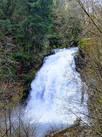 Scenic view of waterfall in forest