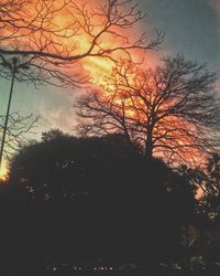 Low angle view of silhouette trees against sky at sunset