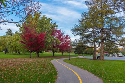 View of trees on landscape against sky