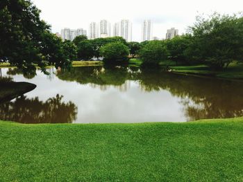 Scenic view of lake by trees against sky