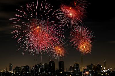 Low angle view of firework display at night