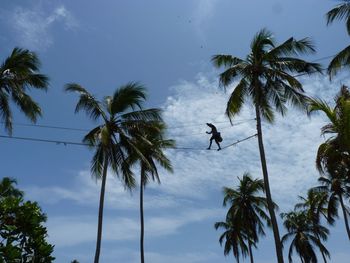 Low angle view of person walking on rope amidst palm trees against cloudy sky