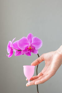 Cropped hand of woman holding flower