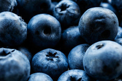 Full frame shot of blueberries