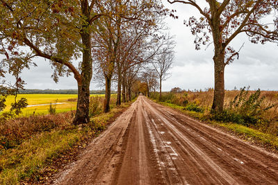 Road amidst trees on field during autumn