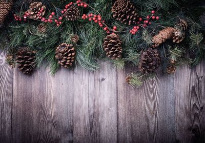 Close-up of christmas tree