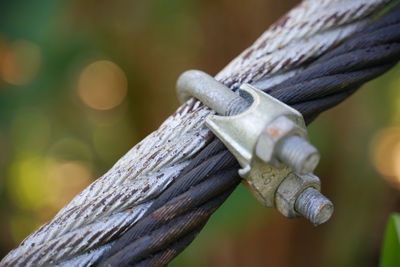 Close-up of rusty chain on wood