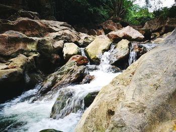 Scenic view of waterfall in forest