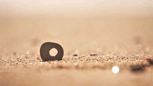 Close-up of rock with hole on sand