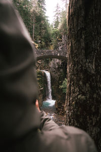 Rear view of people on rock in forest