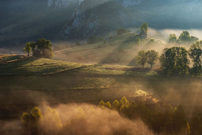 Mountain landscape with morning fog, at the forest edge, in apuseni mountains, romania