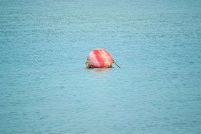 Buoy floating in the sea used for alignment in the sea