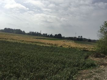 Scenic view of field against sky